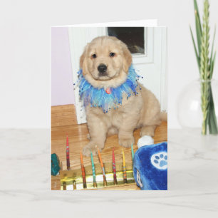 Golden Retriever Puppy Hanukkah Blessings  Holiday Card