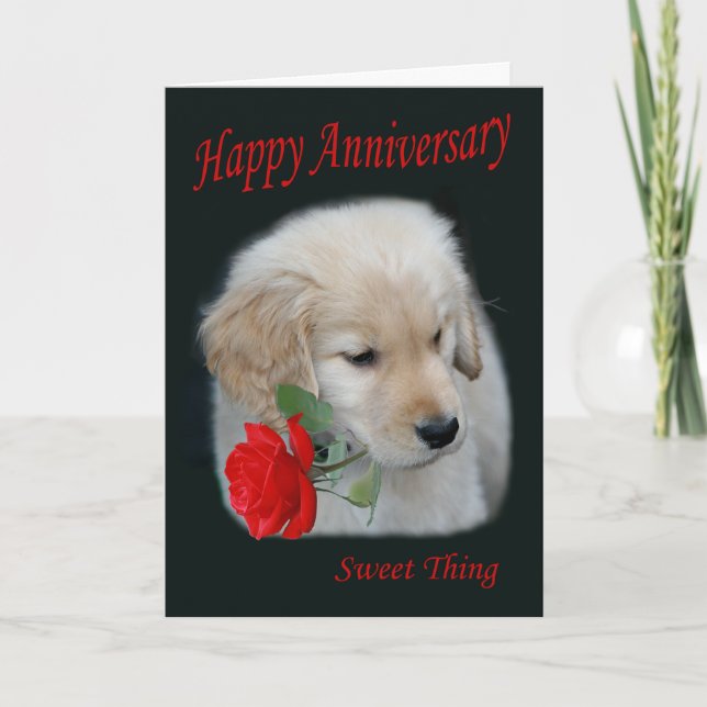 Golden Retriever Puppy Happy Anniversary Card (Front)