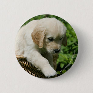 Golden Retriever Puppy in Basket 6 Cm Round Badge