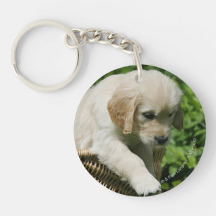 Golden Retriever Puppy in Basket Key Ring