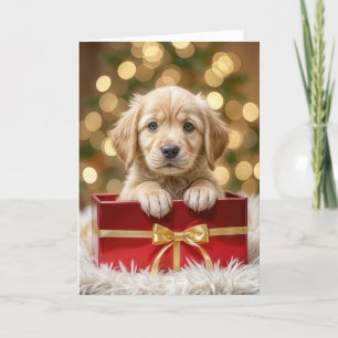 Golden Retriever Puppy in Christmas Box Holiday Card