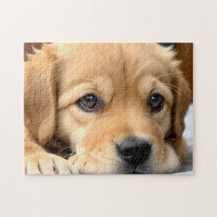 Golden Retriever Puppy Jigsaw Puzzle