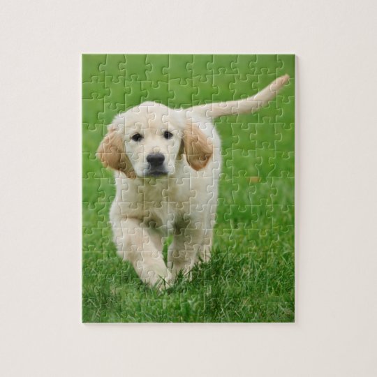 Golden retriever puppy jigsaw puzzle | Zazzle.co.uk