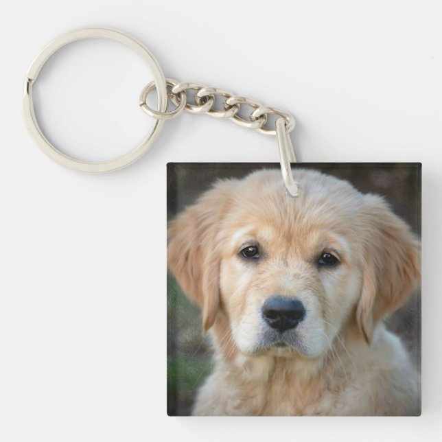 Golden Retriever Puppy Key Ring (Front)