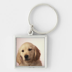 Golden retriever puppy key ring