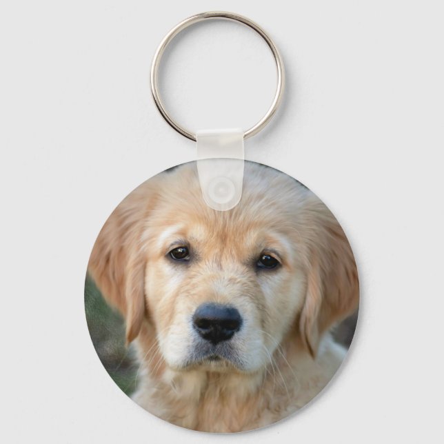 Golden Retriever Puppy Key Ring (Front)