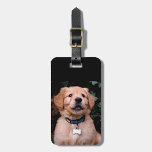 Golden Retriever Puppy Luggage Tag