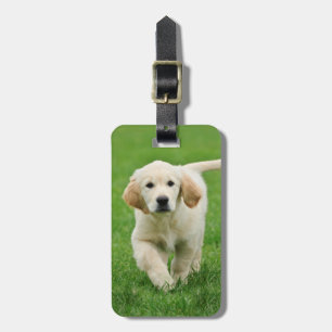 Golden retriever puppy luggage tag