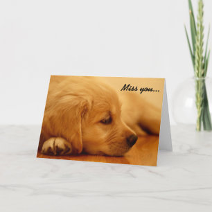 Golden Retriever Puppy Melancholy I Card