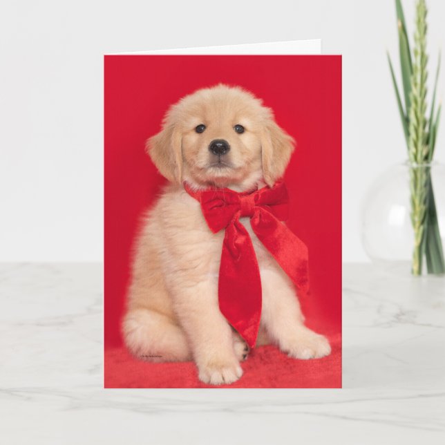 Golden Retriever Puppy Merry Woofin' Christmas Card (Front)