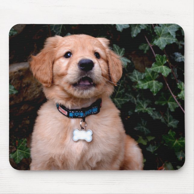 Golden Retriever Puppy Mouse Mat (Front)