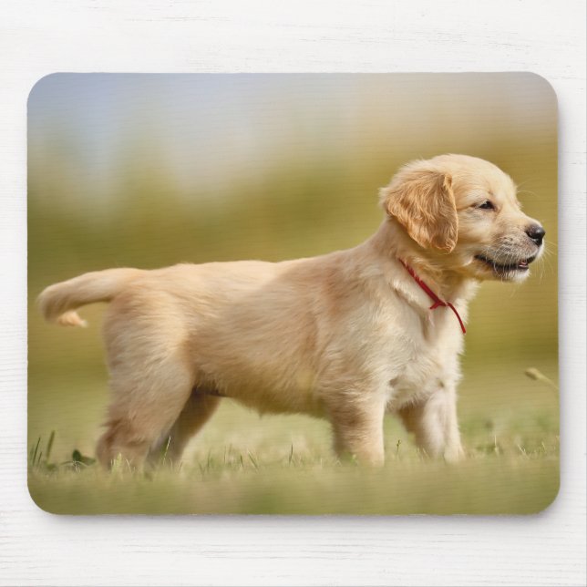 Golden Retriever Puppy Mouse Mat (Front)