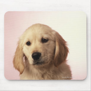 Golden retriever puppy mouse mat