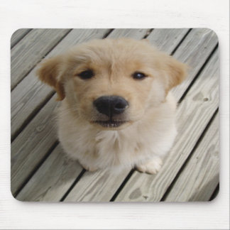 Golden retriever puppy mousepad