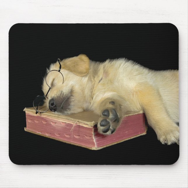 Golden Retriever puppy on book Mouse Mat (Front)