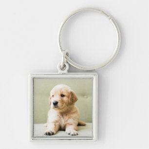 Golden Retriever Puppy on Couch Key Ring