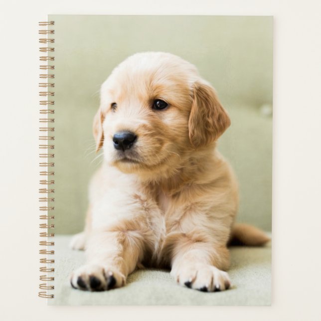 Golden Retriever Puppy on Couch Planner (Front)
