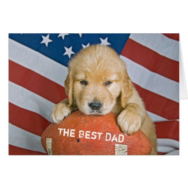 Golden Retriever puppy on football for Dad (Front Horizontal)
