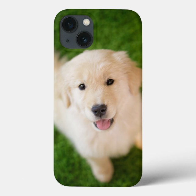 Golden Retriever Puppy on Grass Case-Mate iPhone Case (Back)