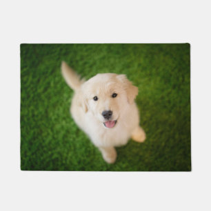 Golden Retriever Puppy on Grass Doormat