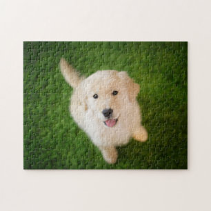 Golden Retriever Puppy on Grass Jigsaw Puzzle