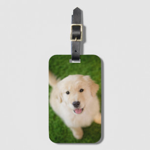 Golden Retriever Puppy on Grass Luggage Tag