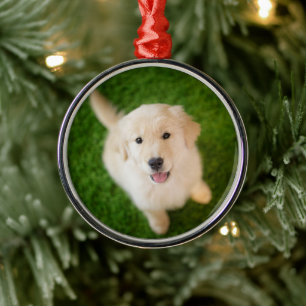 Golden Retriever Puppy on Grass Metal Tree Decoration