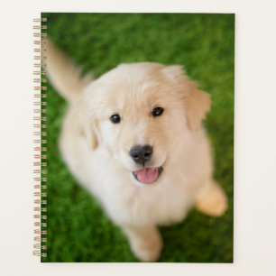 Golden Retriever Puppy on Grass Planner