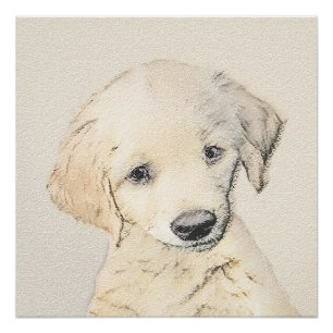 Golden Retriever Puppy Painting - Original Dog Art Poster