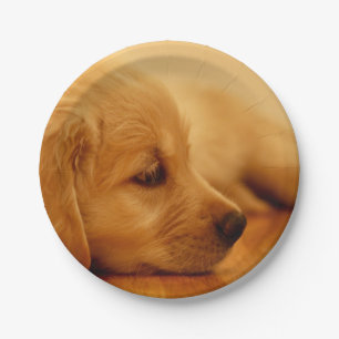 Golden Retriever Puppy Paper Plate