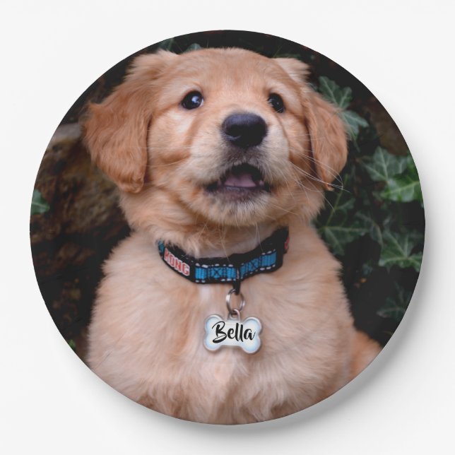 Golden Retriever Puppy personalise name tag Paper Plate (Front)
