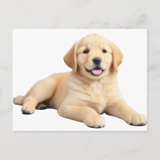 Golden Retriever Puppy Postcard (Front)