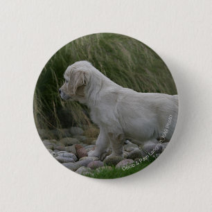Golden Retriever Puppy Standing 6 Cm Round Badge