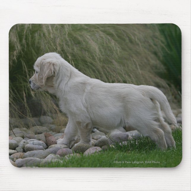 Golden Retriever Puppy Standing Mouse Mat (Front)