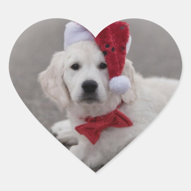 Golden Retriever Puppy Sticker (Front)