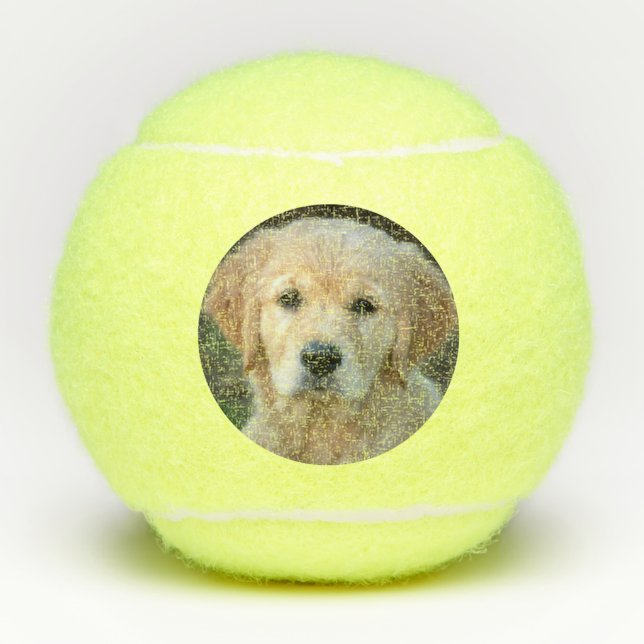 Golden Retriever Puppy Tennis Balls (Front)
