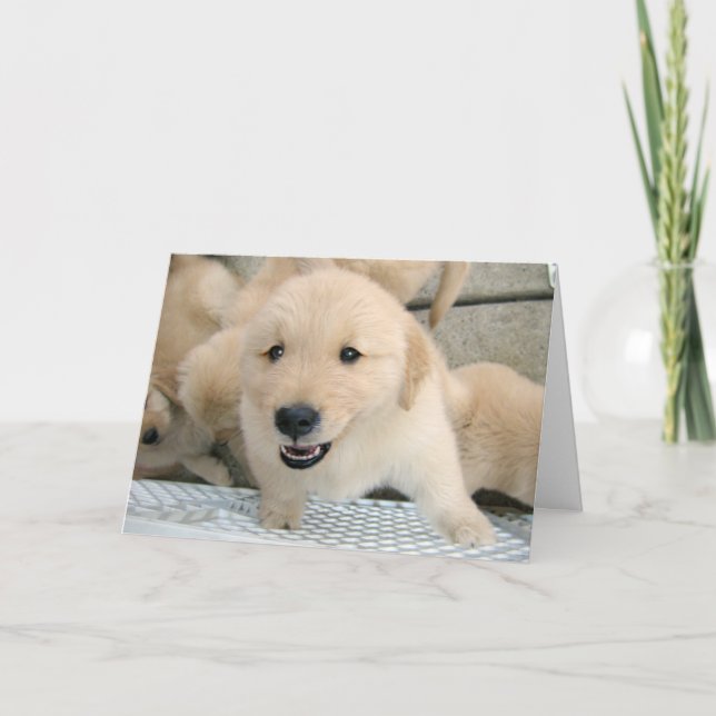 Golden Retriever Puppy Therapy Get Well Card (Front)