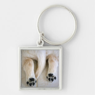 Golden Retriever Puppy Toes Key Ring