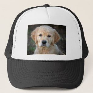 Golden Retriever Puppy Trucker Hat