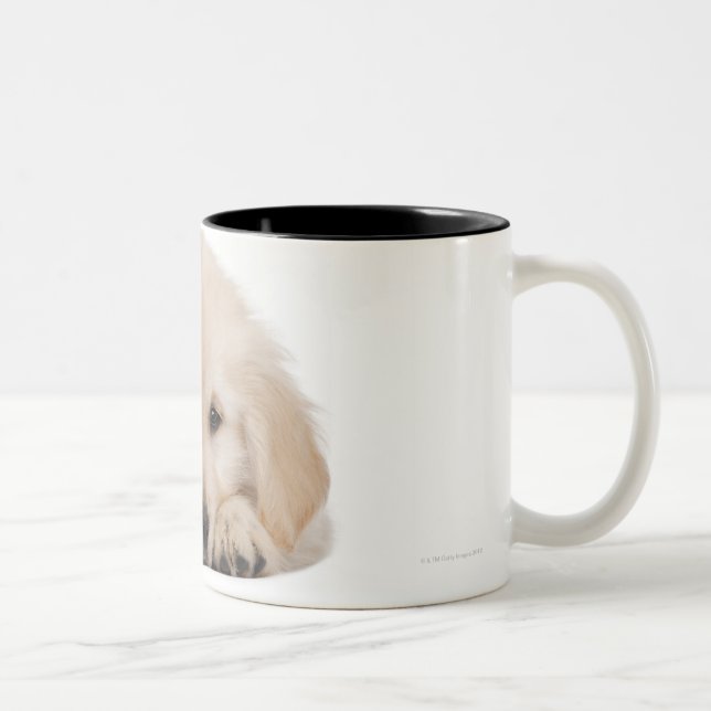 Golden retriever puppy Two-Tone coffee mug (Right)