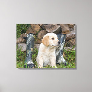 golden retriever puppy with boots canvas print
