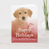 Golden Retriever puppy with ribbon
