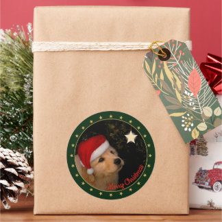 Golden Retriever Puppy with Santa Hat Sticker