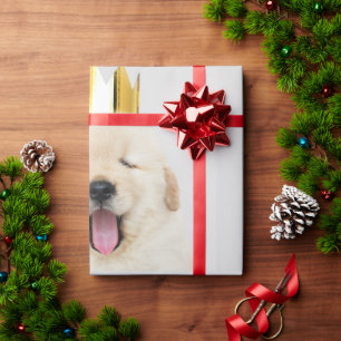 Golden Retriever Puppy Yawning With Crown Wrapping Paper