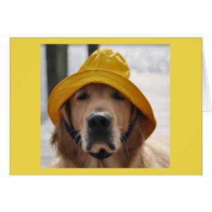 Golden Retriever Rainy Day Birthday Card