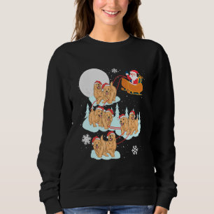 Golden Retriever Reindeer Santa Sleigh Christmas D Sweatshirt