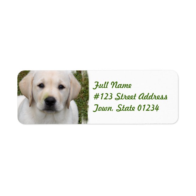 Golden Retriever Return Address Label (Front)