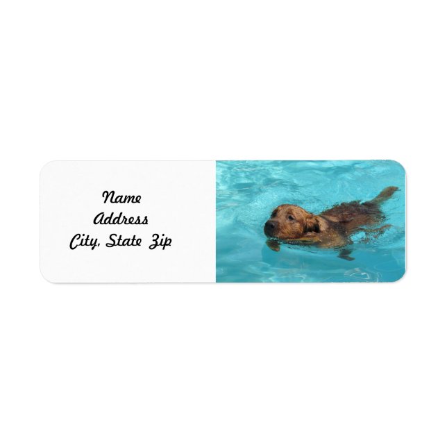 Golden Retriever Return Address Label, Swim (Front)