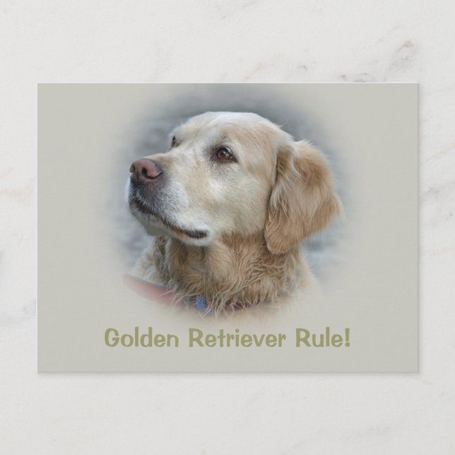 Golden Retriever Rule! - Card (Front)