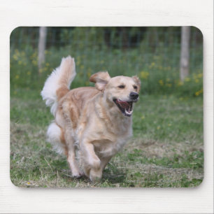 Golden Retriever Running 1 Mouse Mat